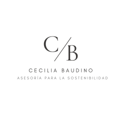 Asesoría integral para la sostenibilidad organizacional y personal