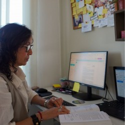 Proyecto en marcha:...