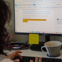 Asesoría de tesis y...