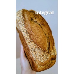 PAN INTEGRAL