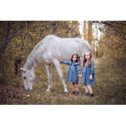 Mentoría en Fotografía...